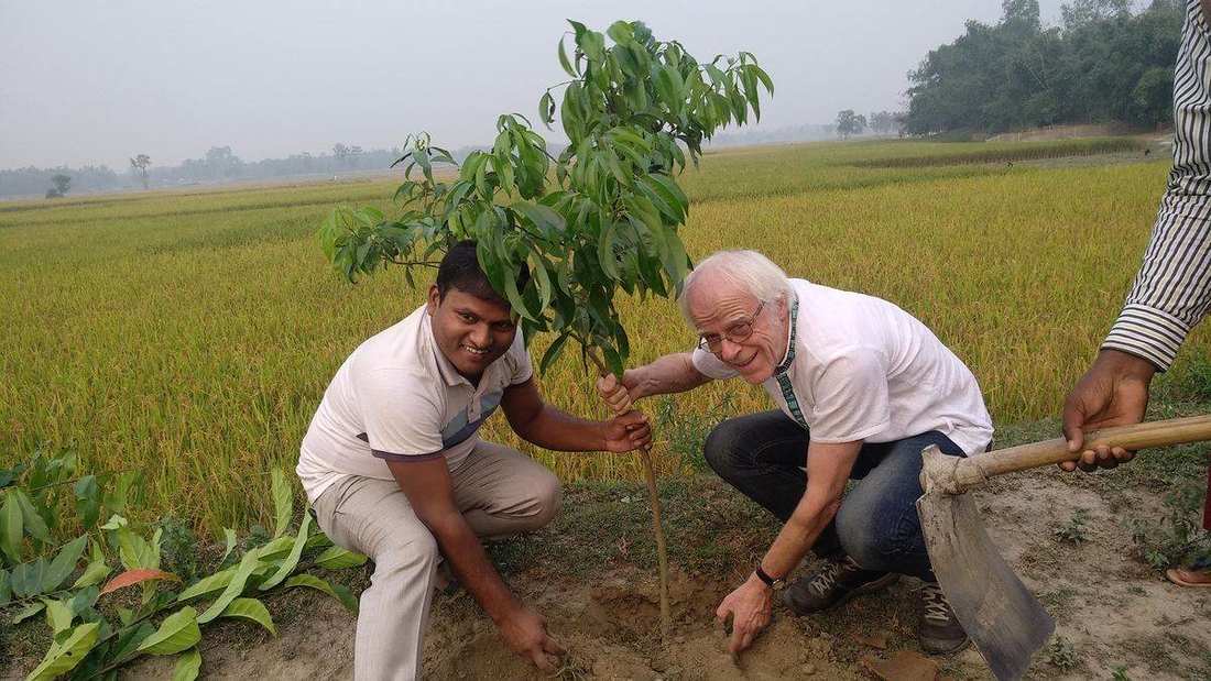Planting a tree at the edge of a paddy field