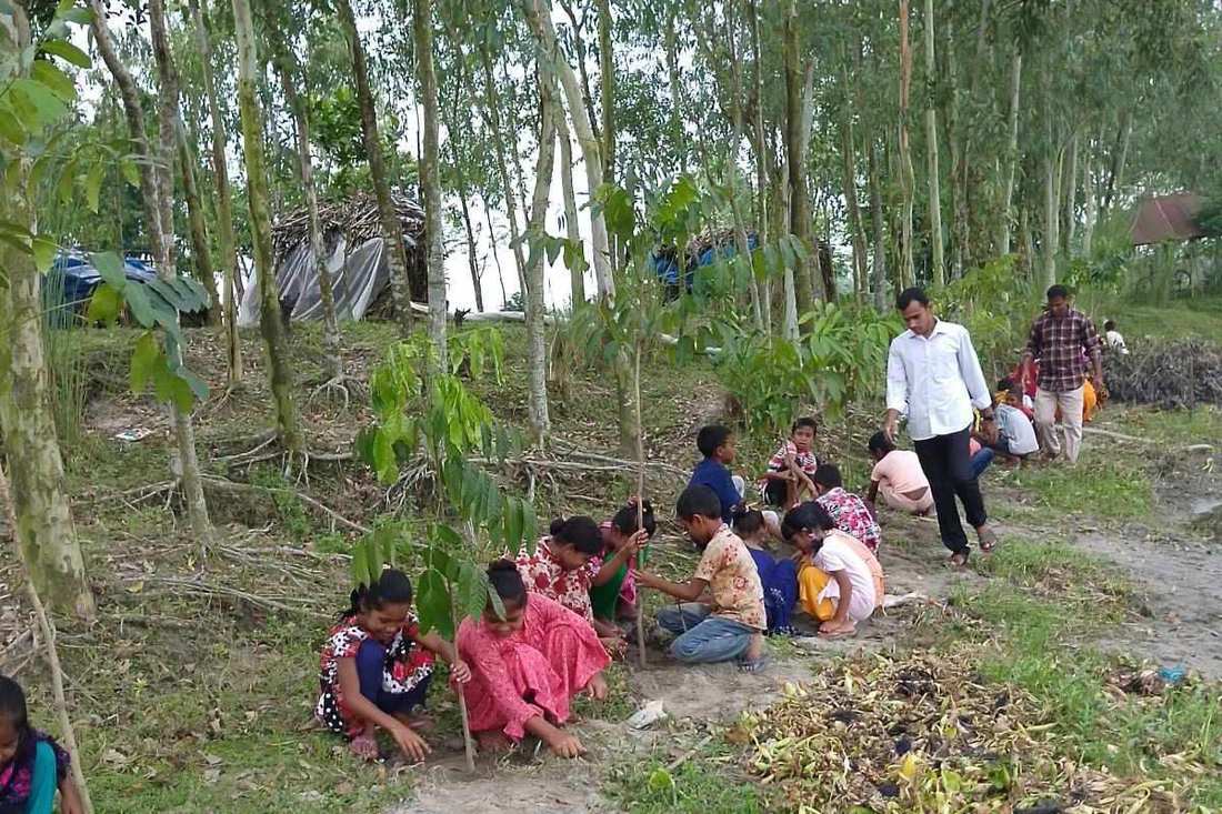Children tending young trees along a path