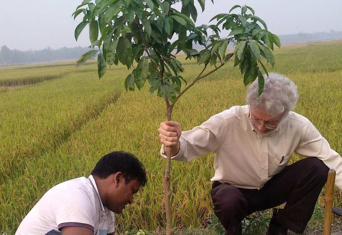 An OfP team member and a supporter planting a young tree beside a paddy field
